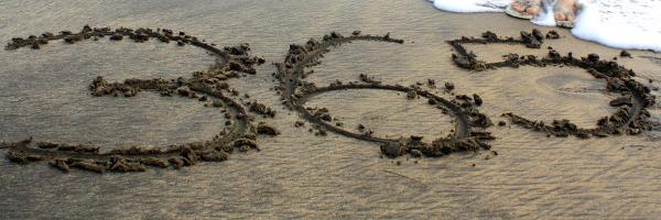 Irinelc Profile Banner