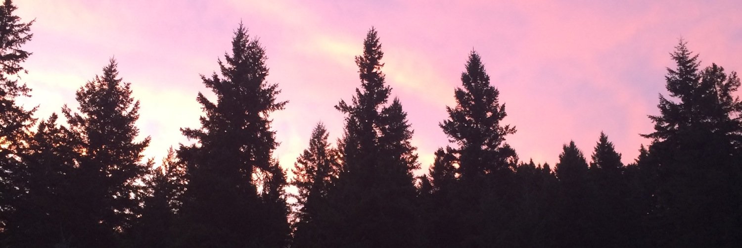 kambeitz23's profile banner image