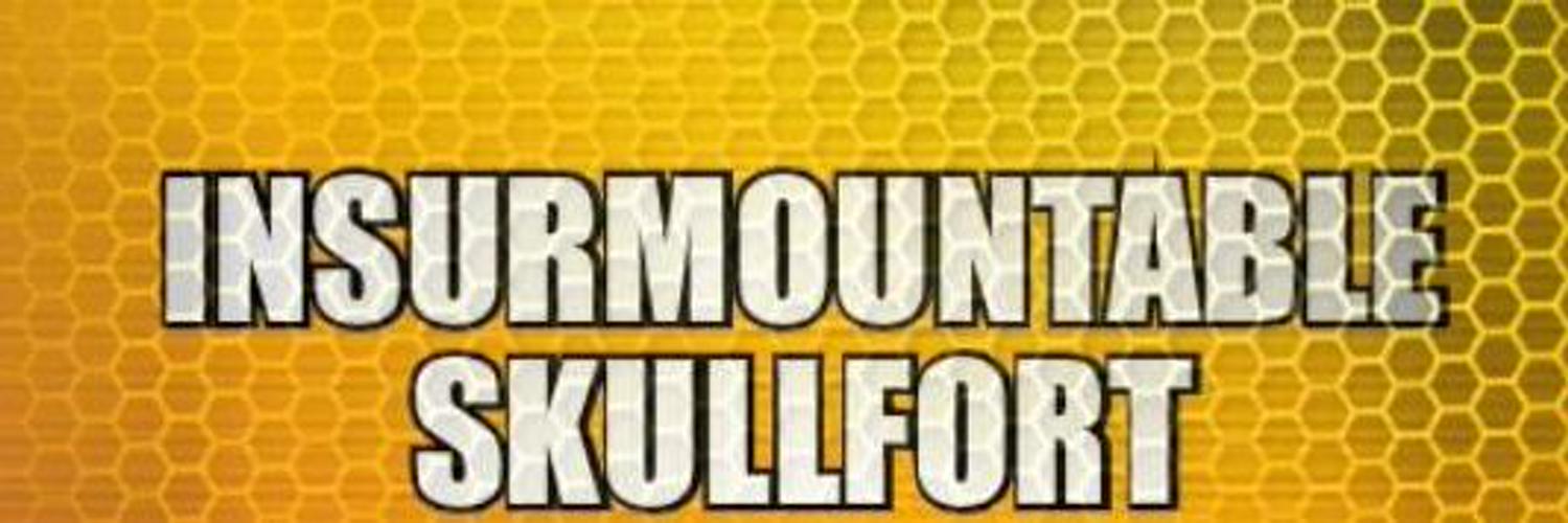 RealSkullfort's profile banner image