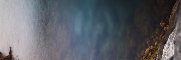 badayaladays's profile banner image