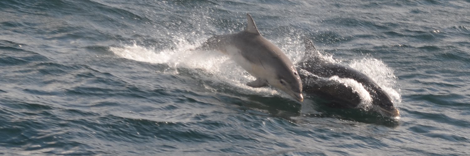 Clémence Leyrat banner