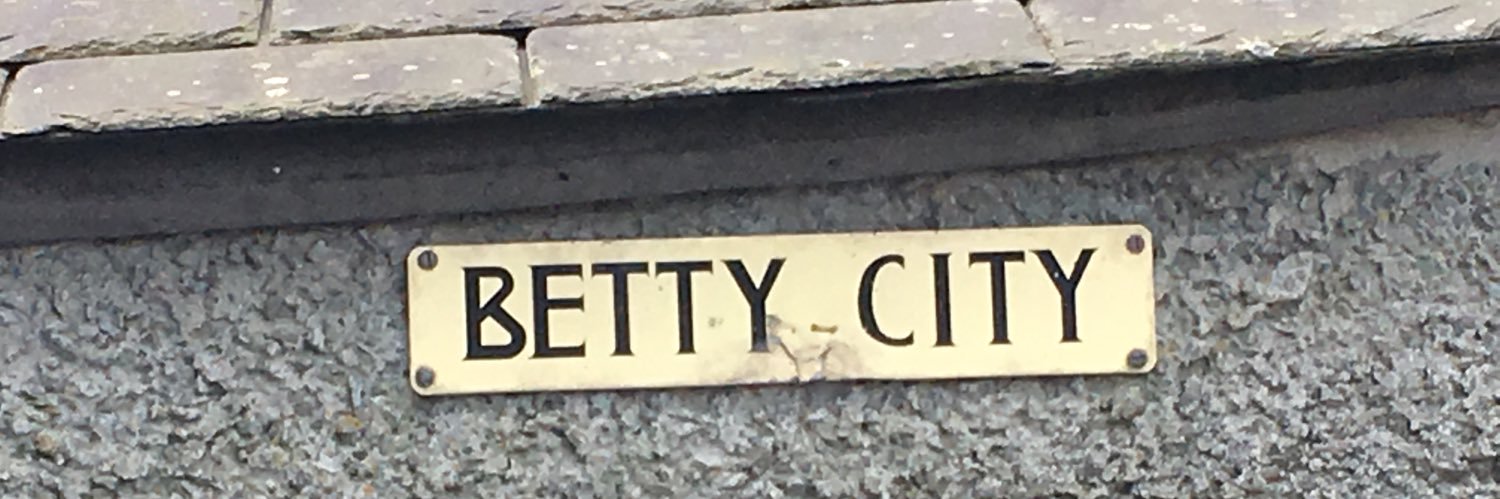 LizzyS 🌹#IStandWithJeremyCorbyn#BlackLivesMatter banner