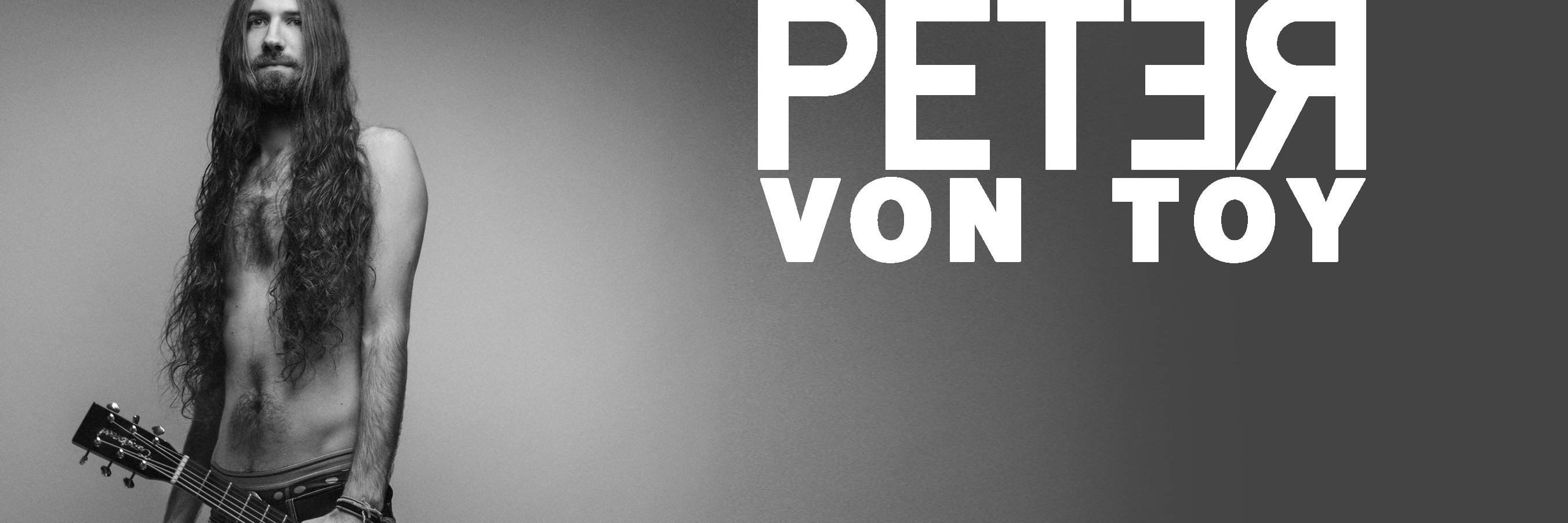 Peter Von Toy banner