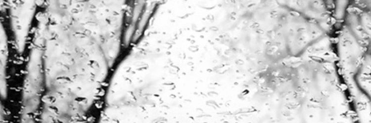 mexyy's profile banner image