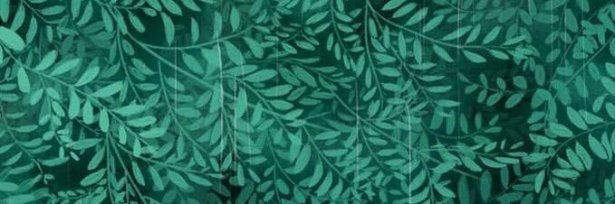 DoryFishB's profile banner image