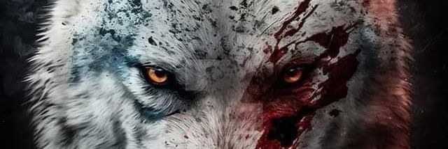 TuRK_vy's profile banner image