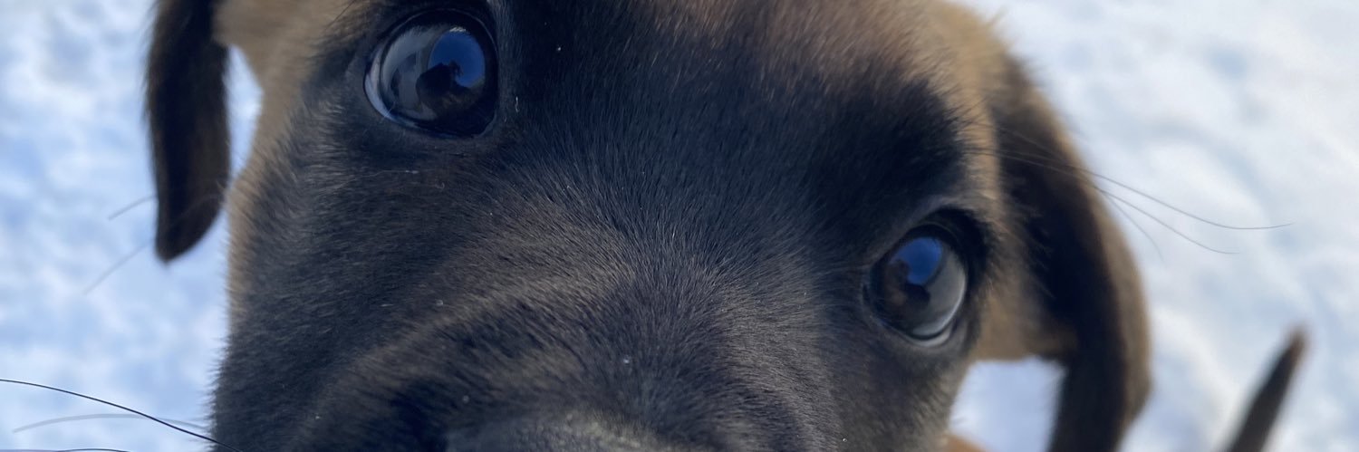 laurastaes's profile banner image