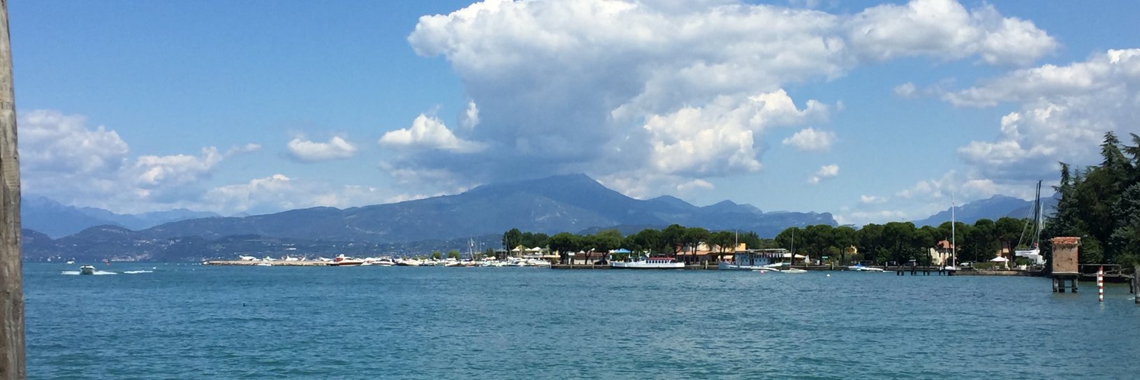 Dr Cristina Devecchi banner