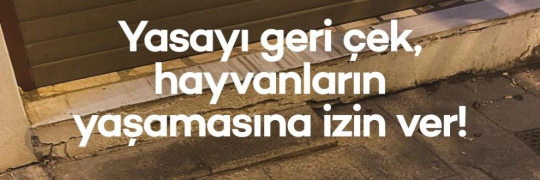 cagrisayin's profile banner image