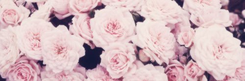 Nicole ❤️ banner