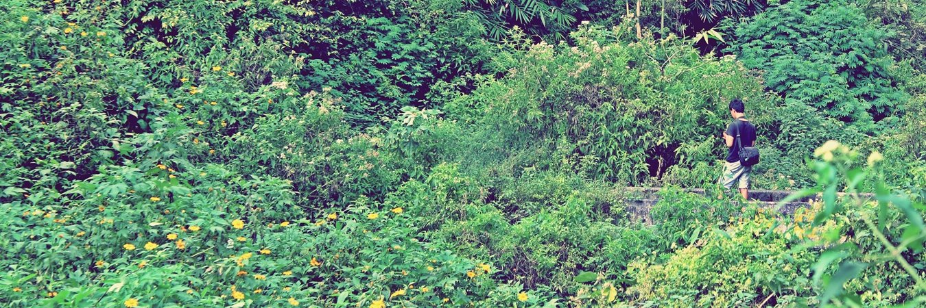 DolandID's profile banner image
