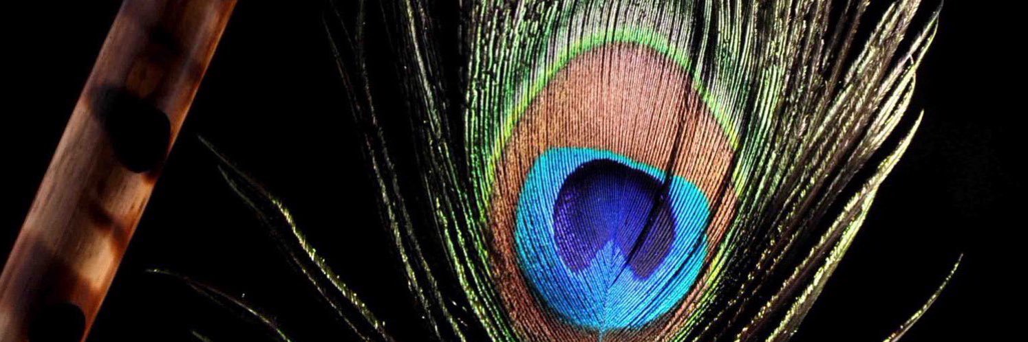 nehakrishn's profile banner image