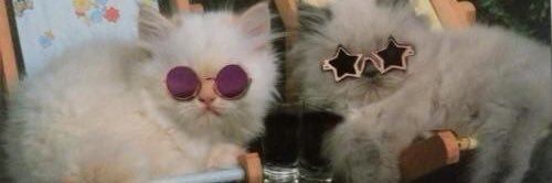 Emma Caldwell banner