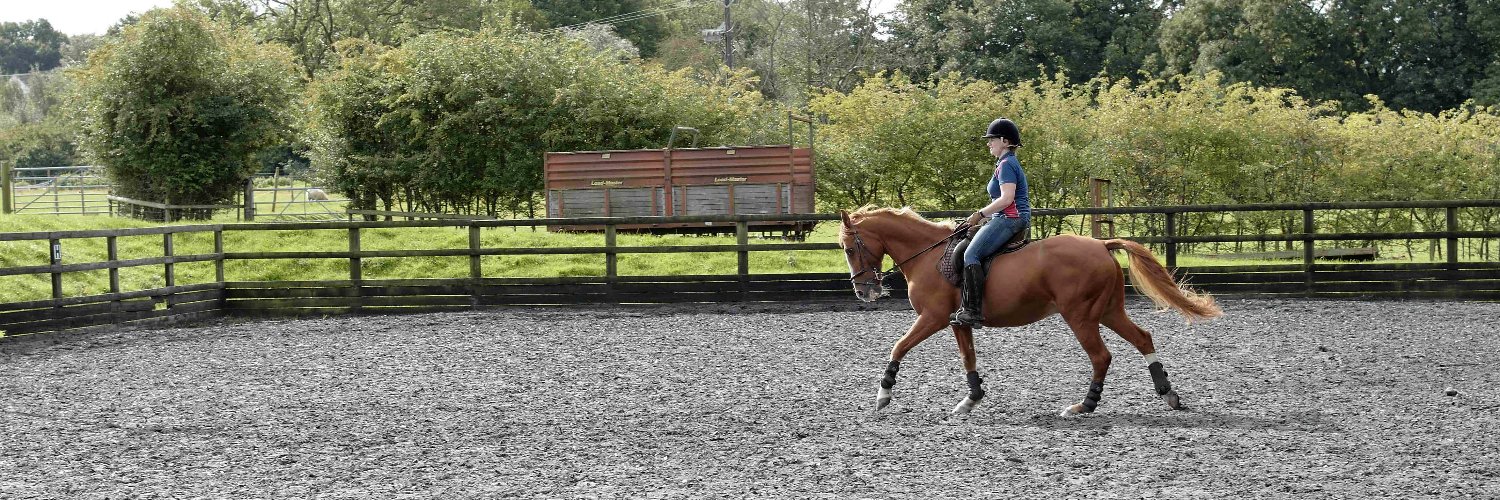 Michael Markey banner