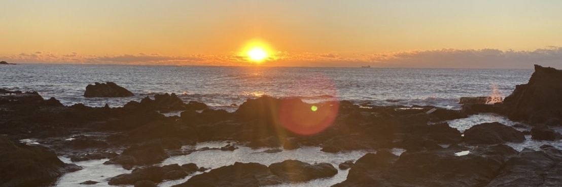 越後屋🍏藤右衛門 banner