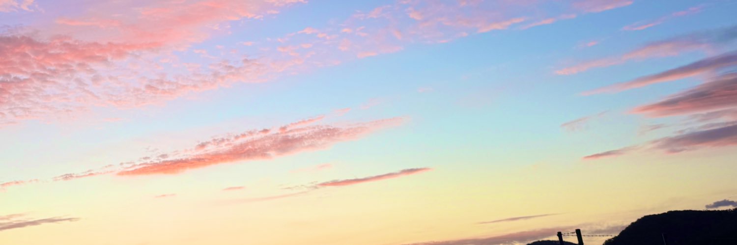 monimonitto's profile banner image