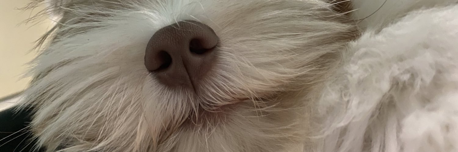 blsvnss's profile banner image