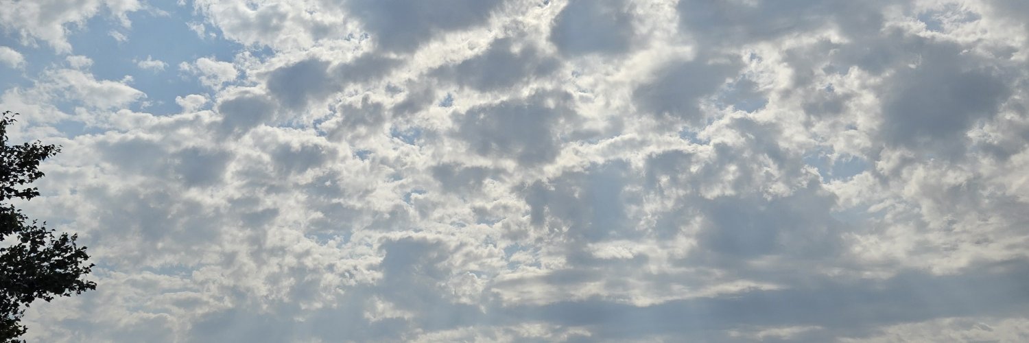 TonyGreco's profile banner image