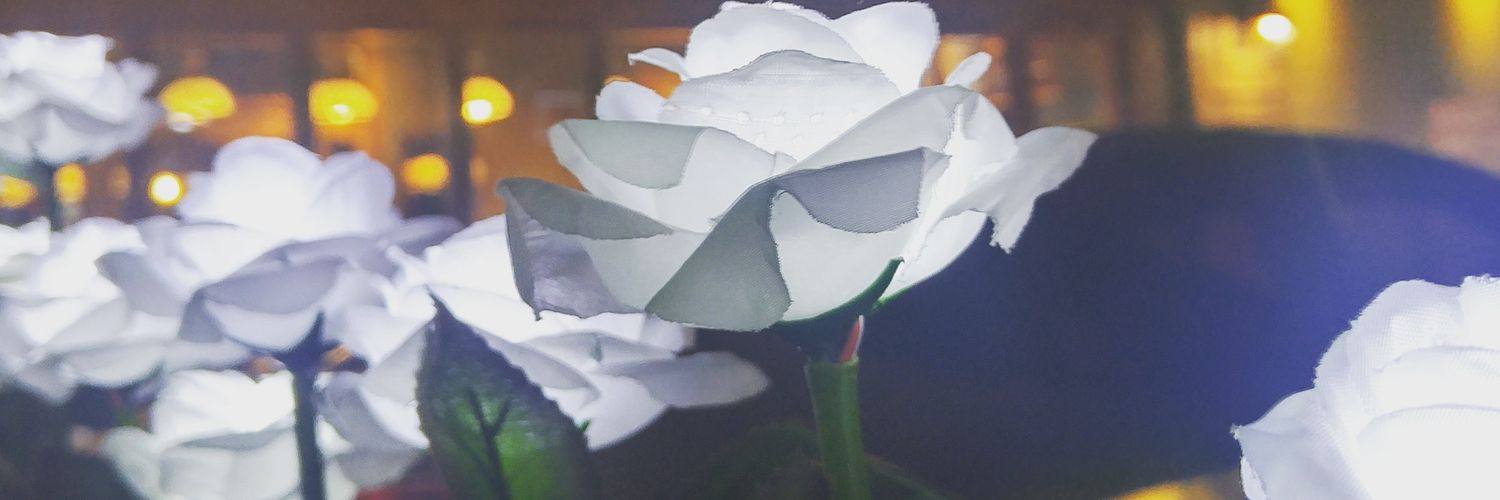 dckcw's profile banner image