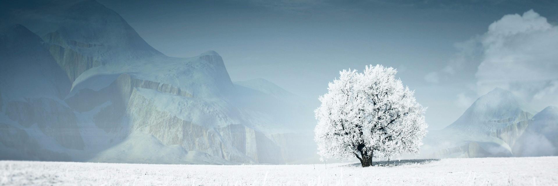 luitelhem011's profile banner image