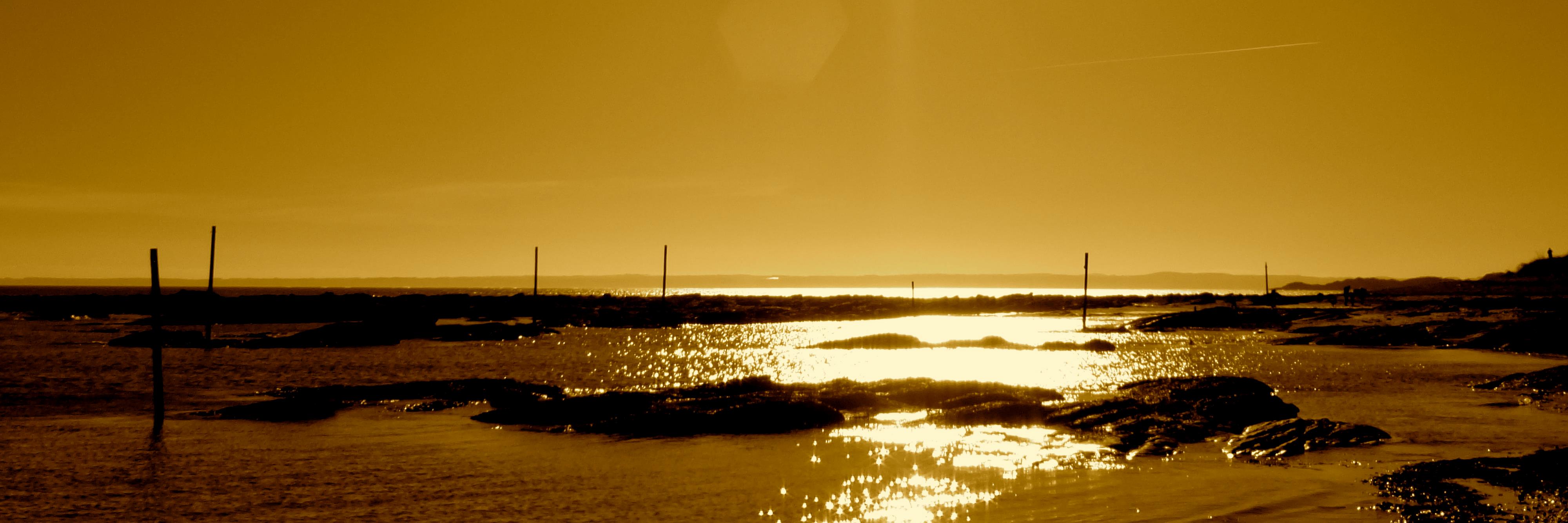 SNPCarnoustie's profile banner image