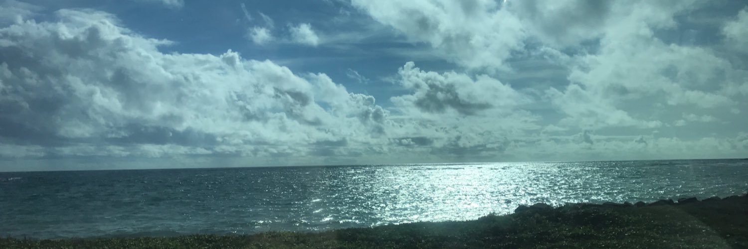 juleqt2's profile banner image