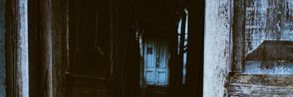 claudia mesa banner