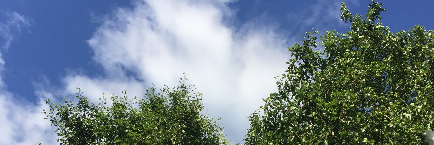 inwithJenn's profile banner image