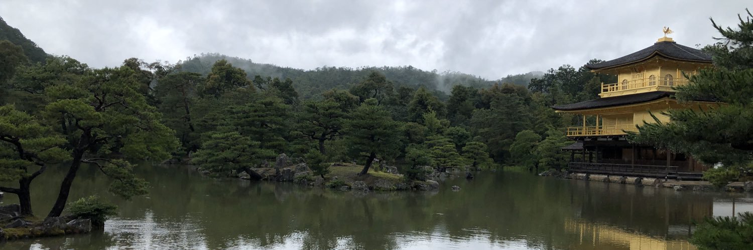 賢猫🍵📖🧚‍♀️ banner