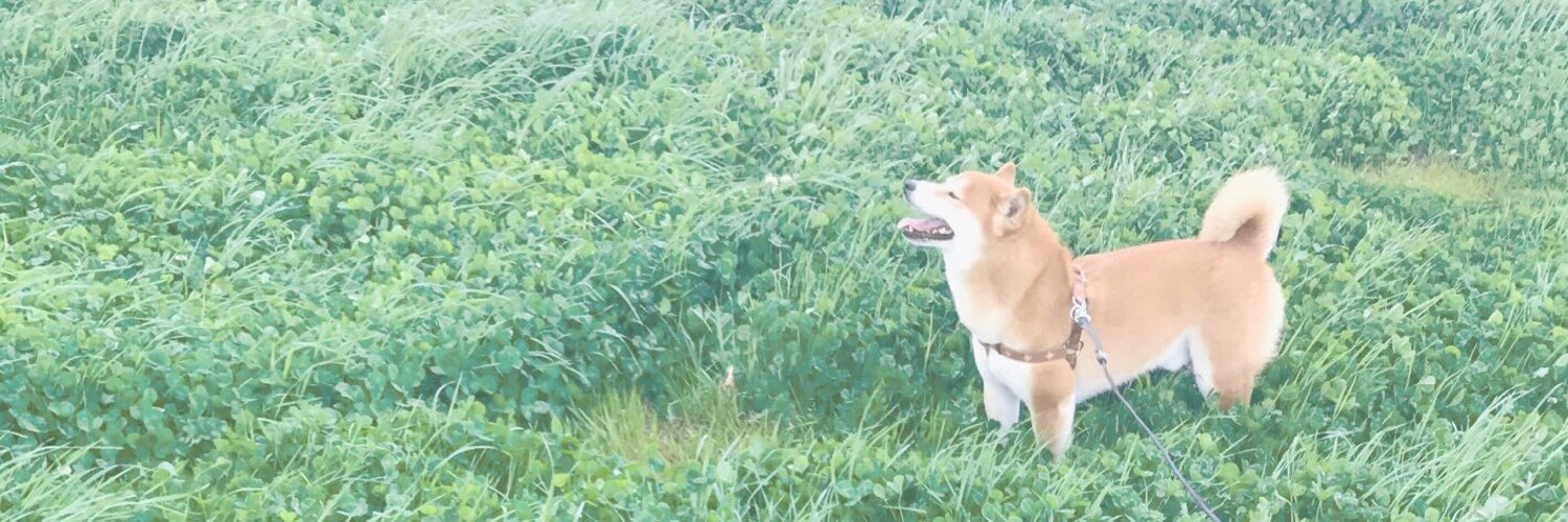 rik715__'s profile banner image