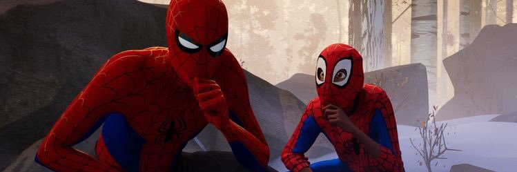 celistein13's profile banner image