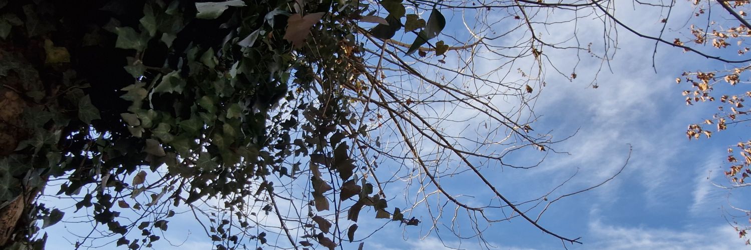 ewadan's profile banner image