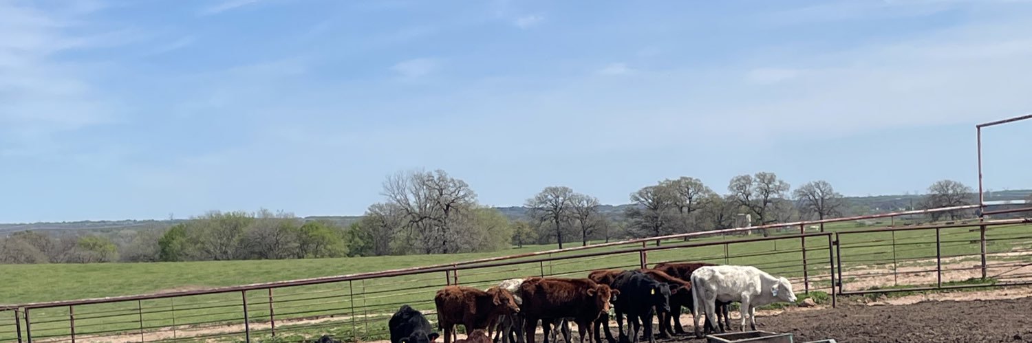 CarterKlein_'s profile banner image
