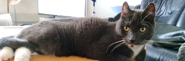 hfrendal Profile Banner