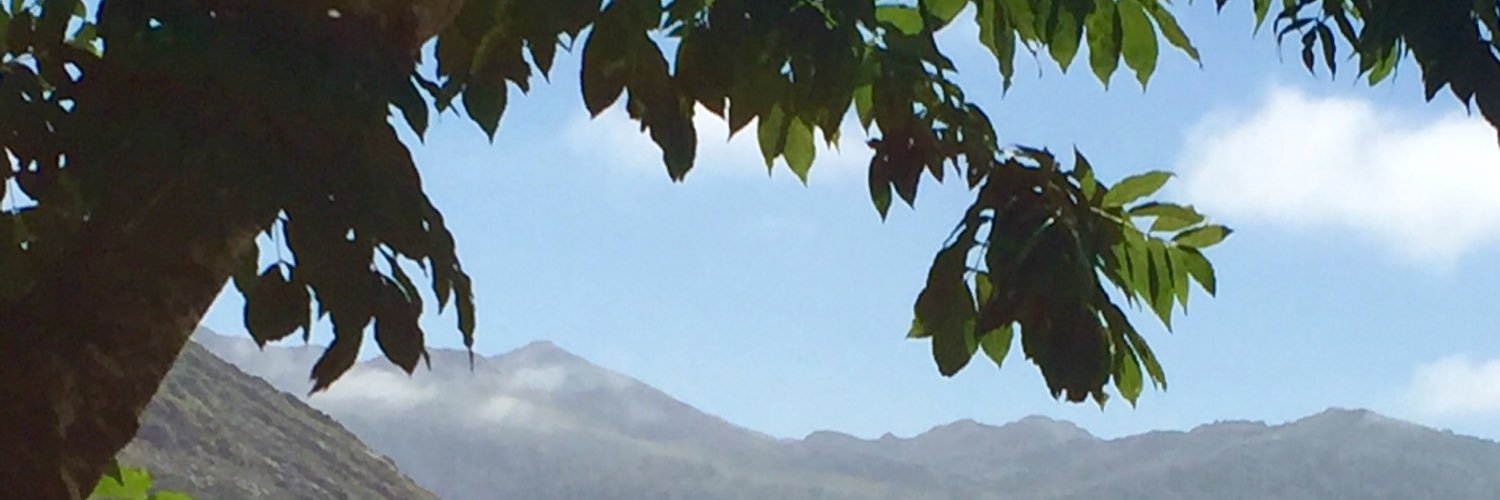 VicentEstruch's profile banner image