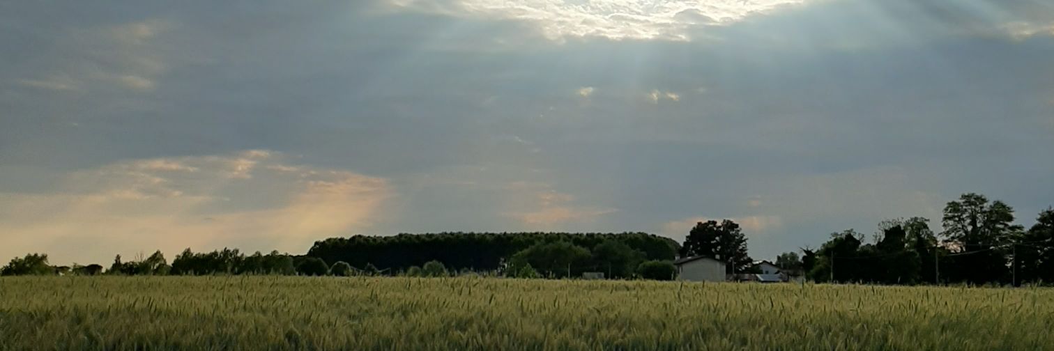 huulieta's profile banner image