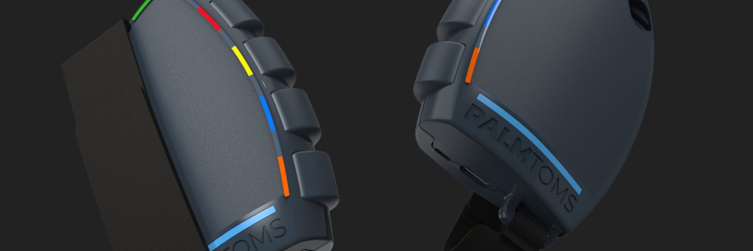 PalmToms's profile banner image