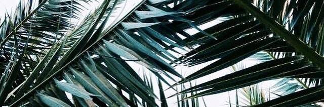 elizabethworrall. banner