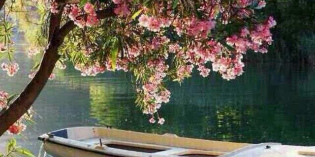 fto0om_tmem's profile banner image