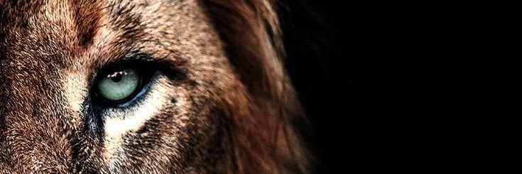 3_alnjmi's profile banner image