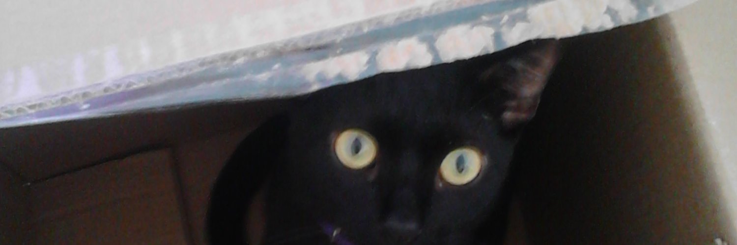 Ffcdot_'s profile banner image