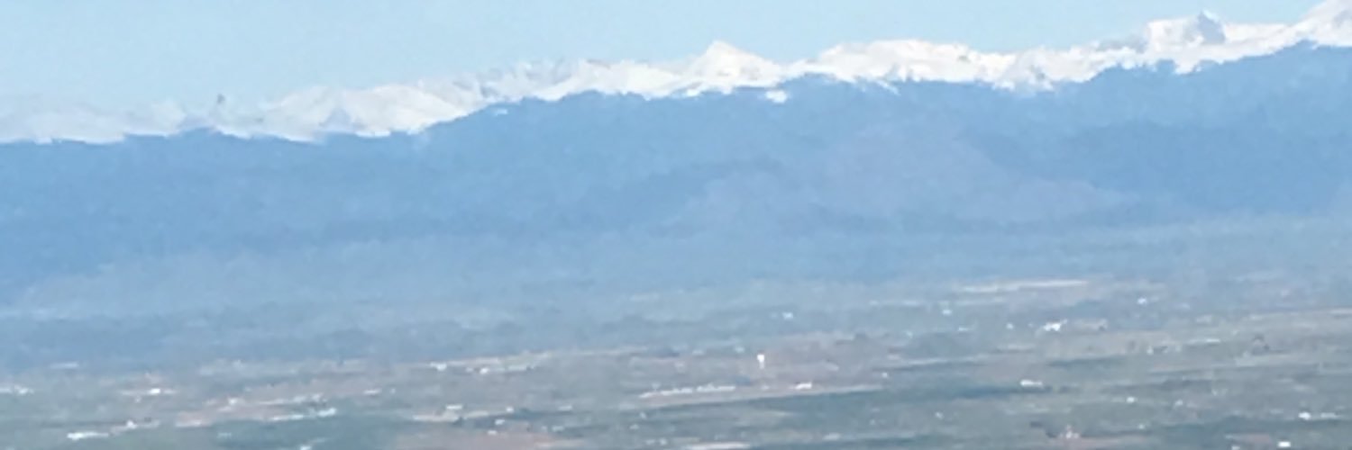 Danette Hardy banner