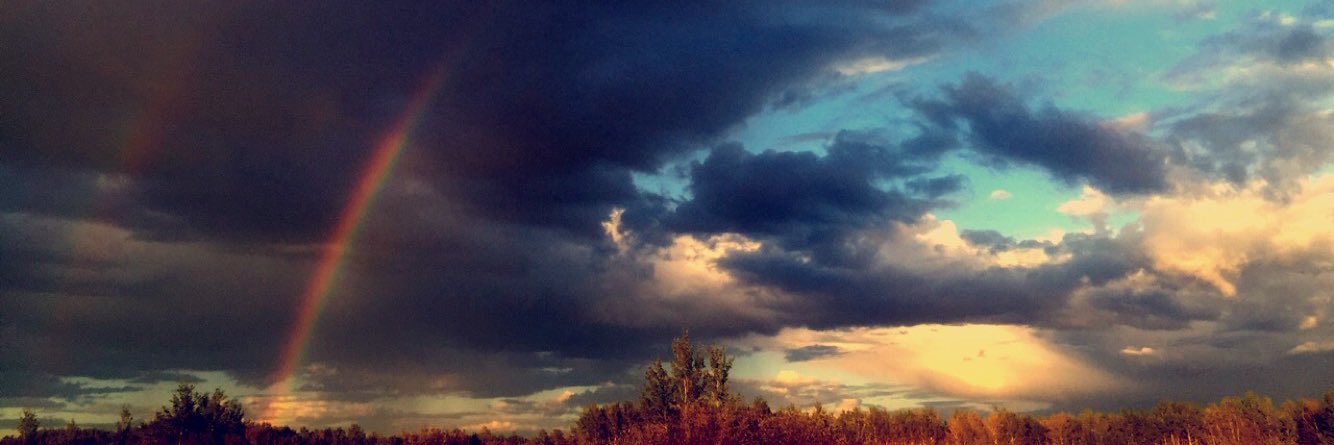 laurenconnellan's profile banner image