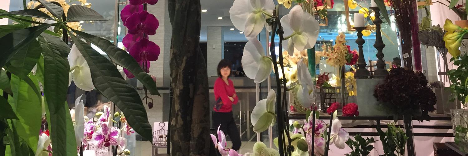 TidysFlowers's profile banner image