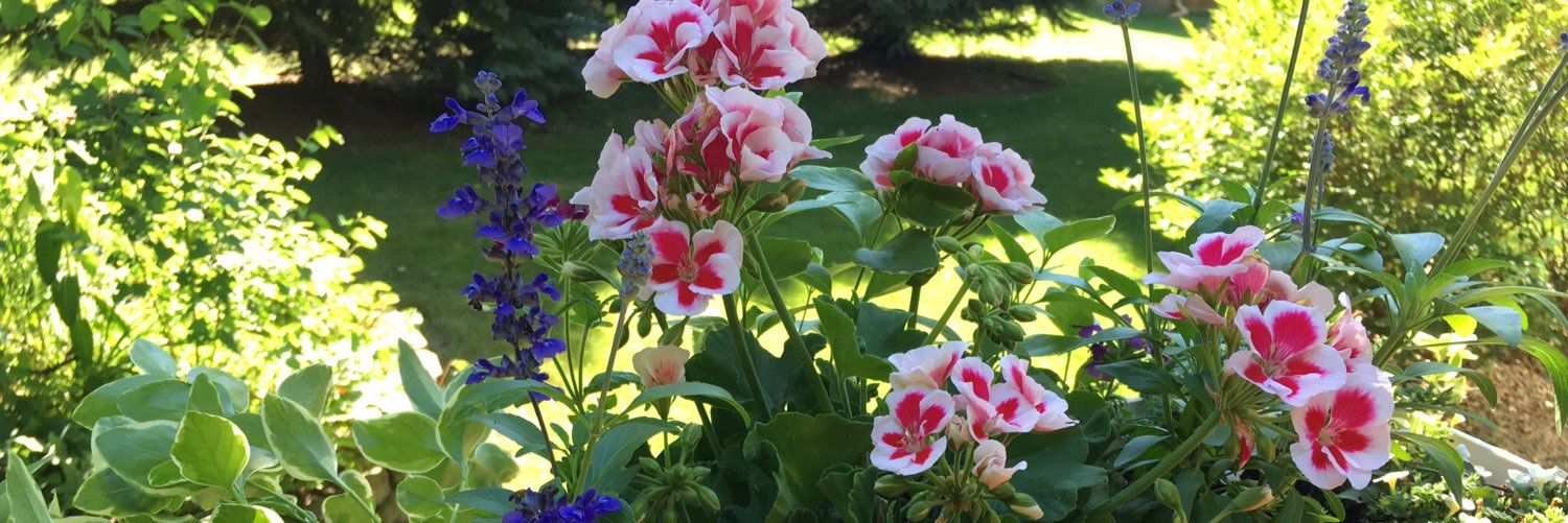 MrsKobesClass's profile banner image