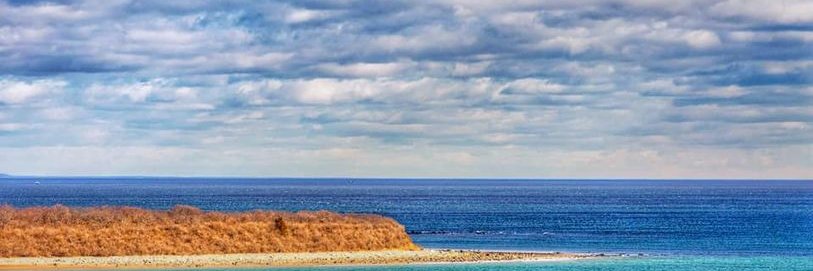 Rick DiMichele banner