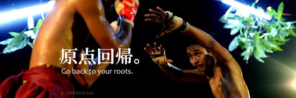 serishunya Profile Banner