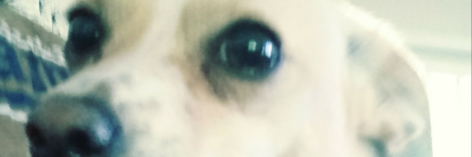 stephan2418's profile banner image