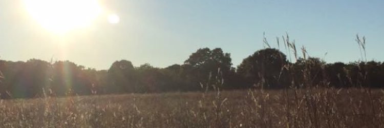 maddibrannon's profile banner image