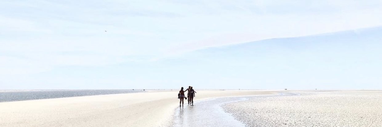 ZoePrendiville's profile banner image